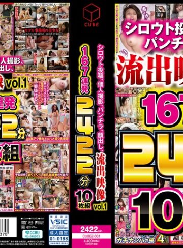 シロウト投稿、個人撮影、パンチラ、顔出し、流出映像 vol.1 167連発2422分 10枚組