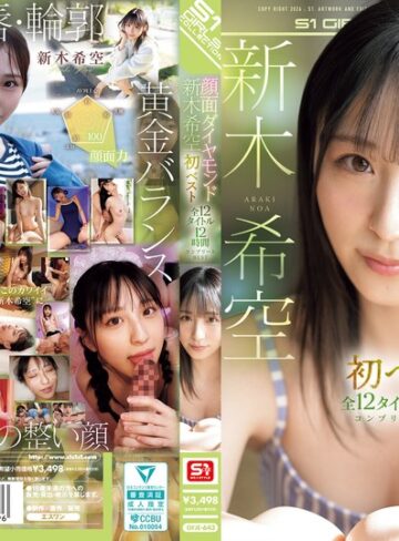 顔面ダイヤモンド 新木希空 初ベスト 全12タイトル12時間 コンプリートBEST